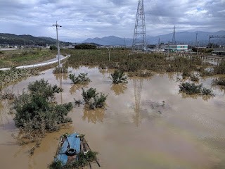 水害の写真