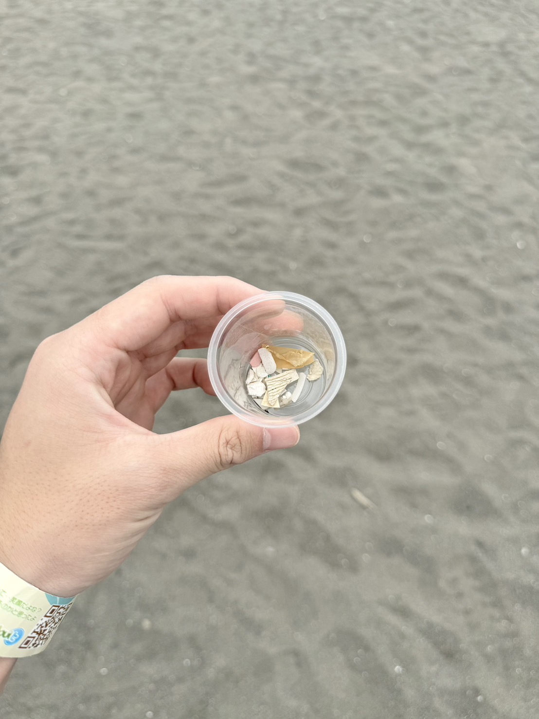 3分間チャレンジで拾ったマイクロプラスチックごみ