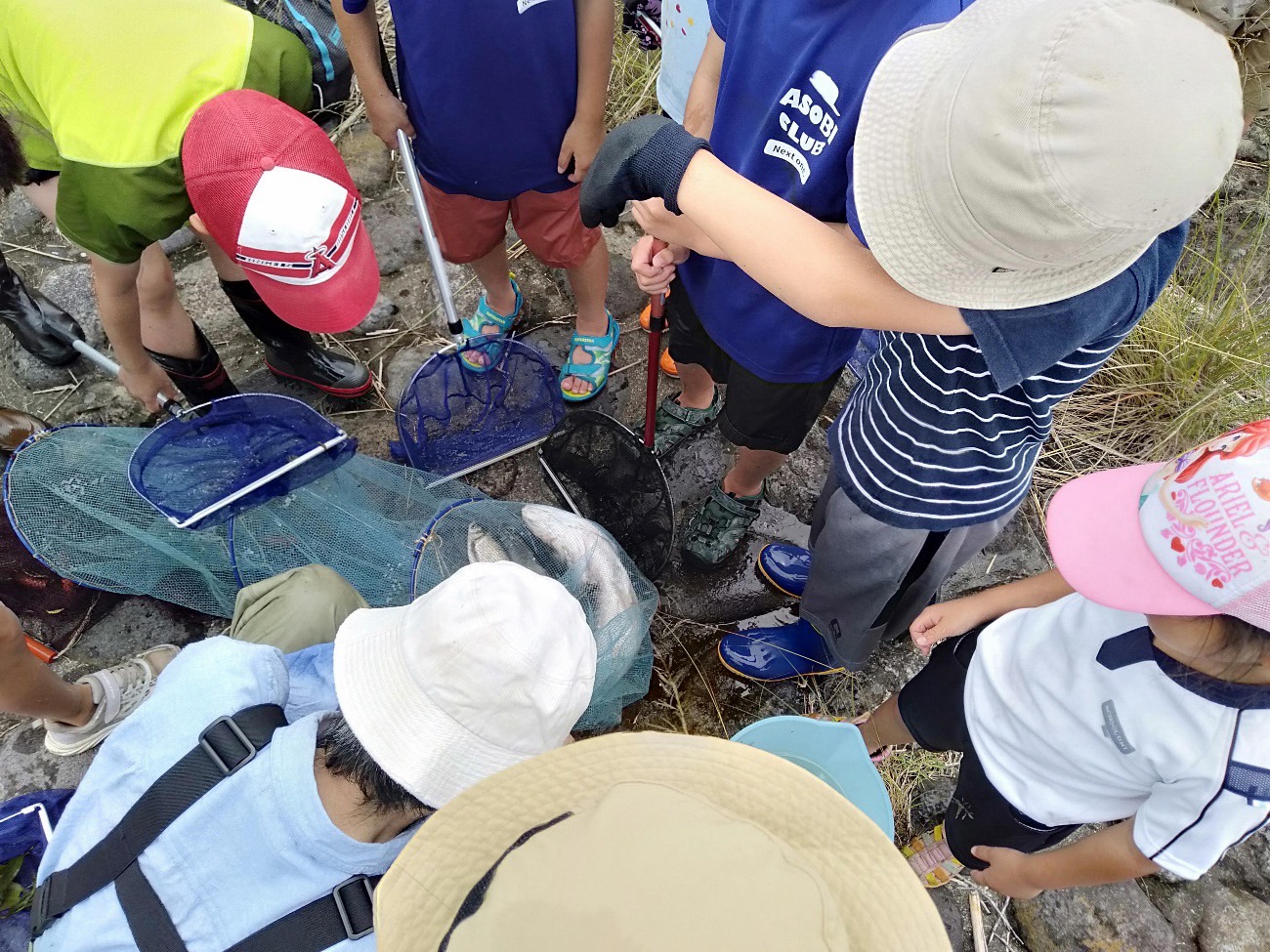 網にかかった魚を子供たちが円を組んで凝視している写真