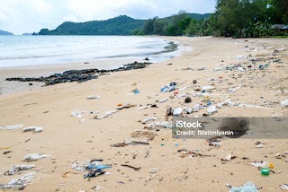 海岸に漂流ゴミが散乱している写真