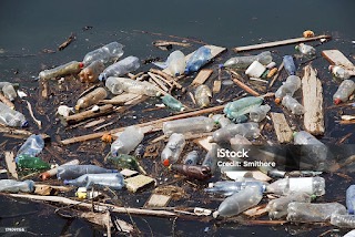 海岸に漂流ゴミが散乱している写真②