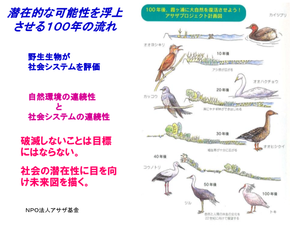 野生生物の進化の写真