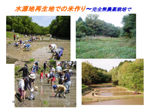 認定NPO法人アサザ基金の活動している写真