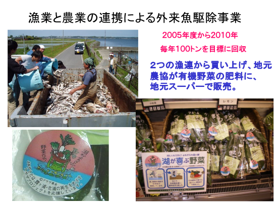 漁業と農業の連携による外来魚駆除事業の写真