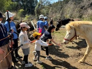 子供たちとポニーが触れ合っている写真